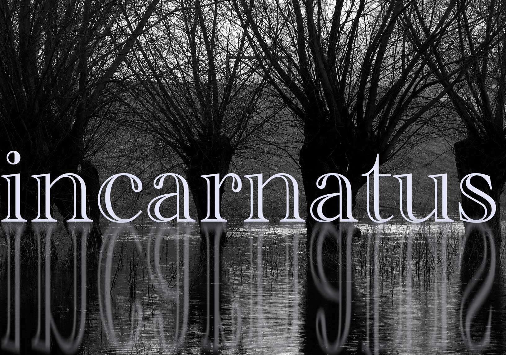 Weihnachten, Epiphanias: Ein Geschenk