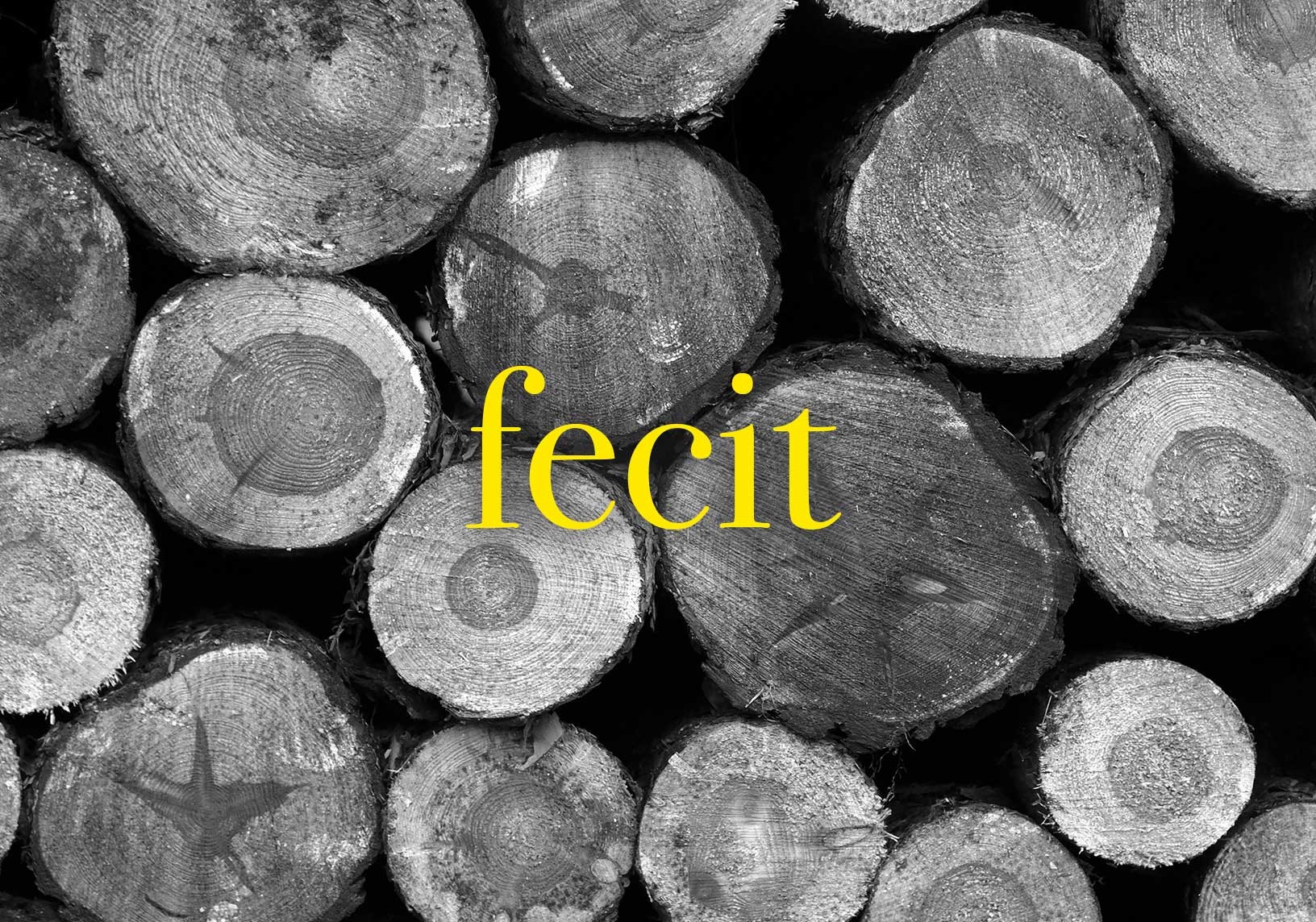 Palmsonntag: Draußen