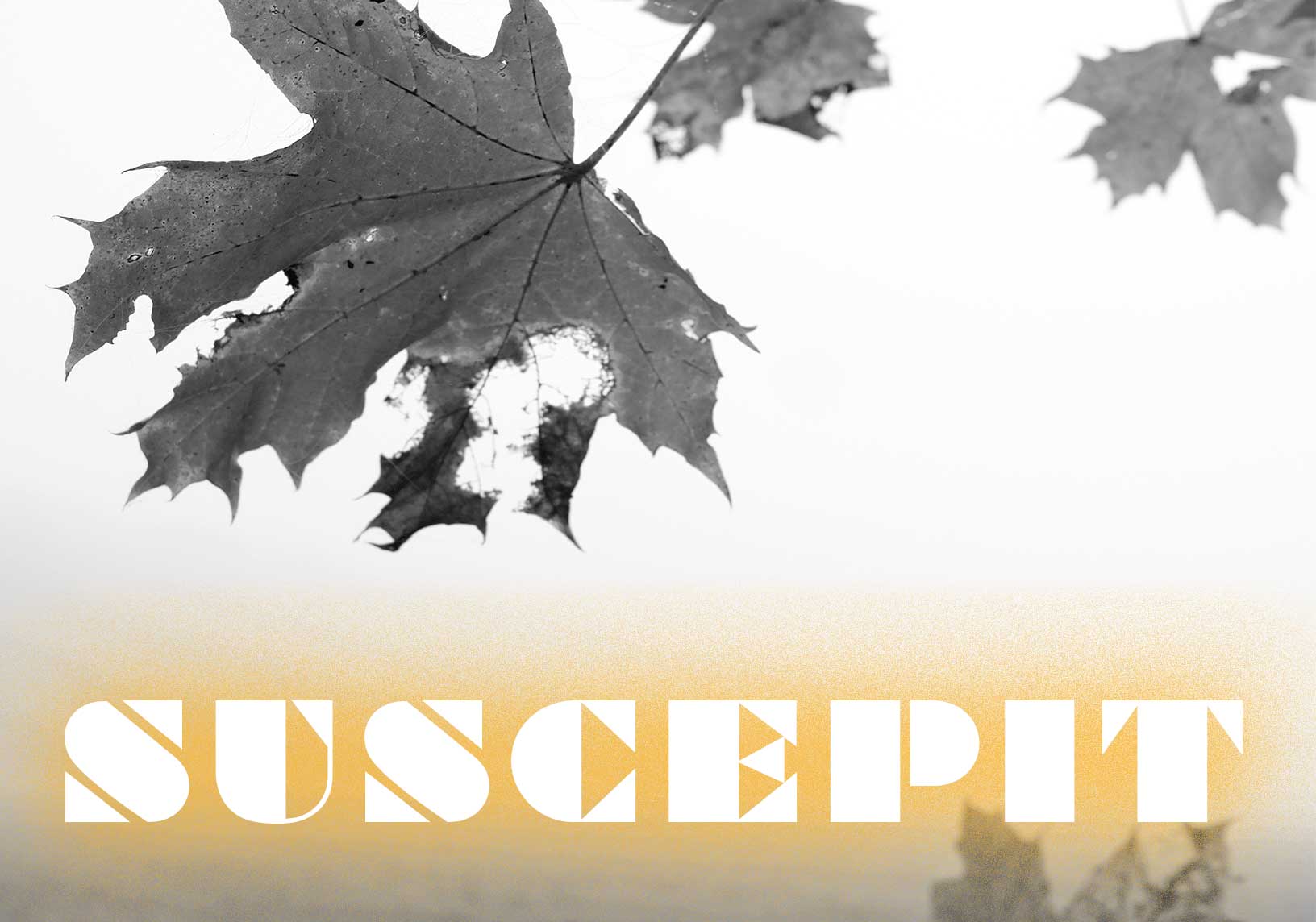 Johanni: Eine Skizze