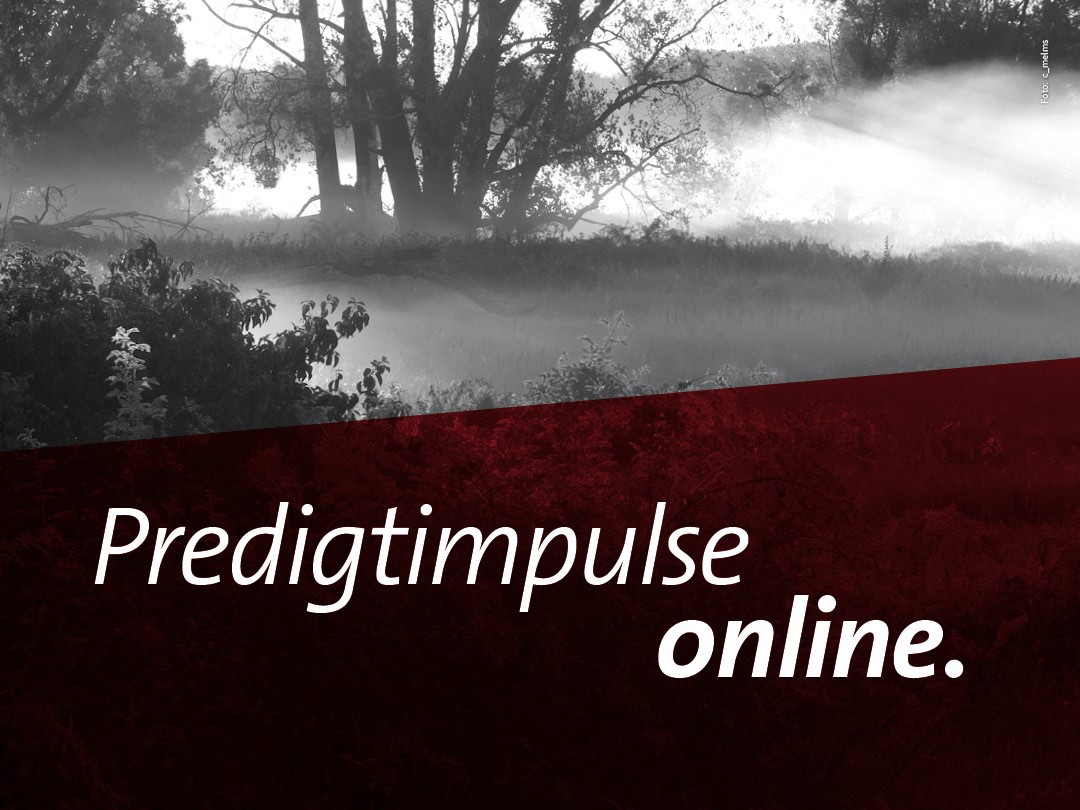 Predigtimpulse online